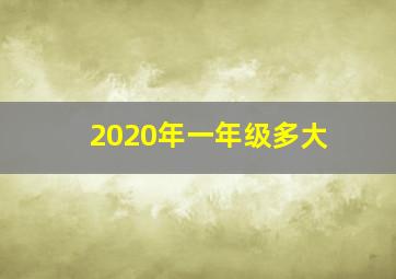 2020年一年级多大