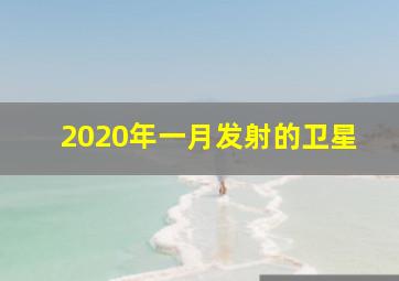 2020年一月发射的卫星