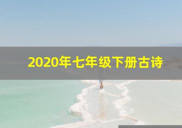 2020年七年级下册古诗