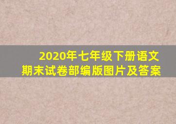 2020年七年级下册语文期末试卷部编版图片及答案