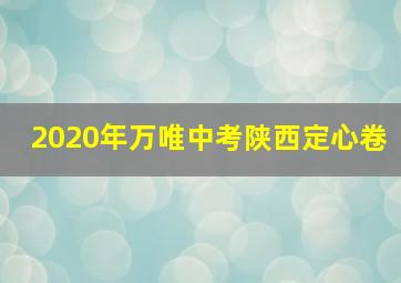 2020年万唯中考陕西定心卷