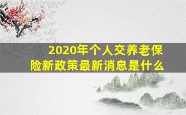 2020年个人交养老保险新政策最新消息是什么