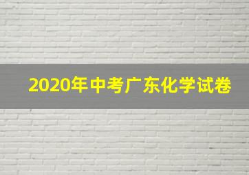 2020年中考广东化学试卷