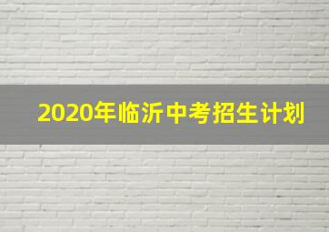 2020年临沂中考招生计划