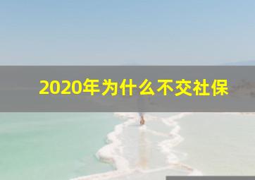 2020年为什么不交社保