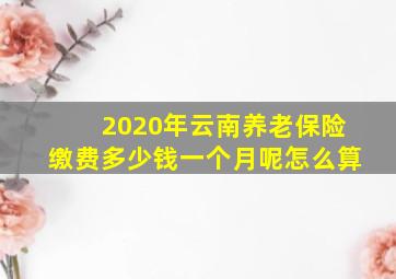 2020年云南养老保险缴费多少钱一个月呢怎么算