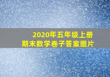 2020年五年级上册期末数学卷子答案图片