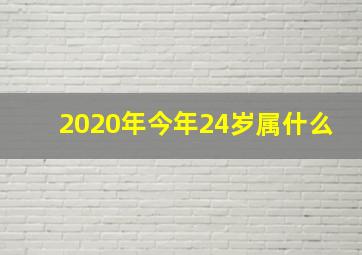 2020年今年24岁属什么