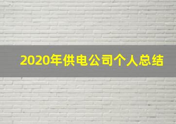 2020年供电公司个人总结