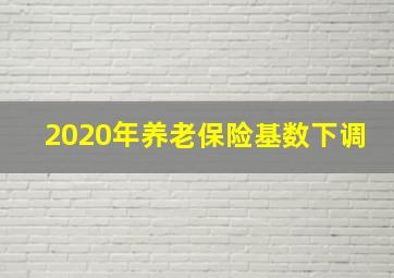 2020年养老保险基数下调