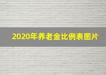 2020年养老金比例表图片