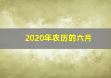 2020年农历的六月