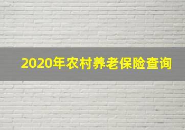 2020年农村养老保险查询