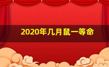 2020年几月鼠一等命