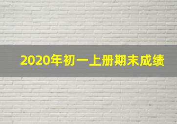 2020年初一上册期末成绩