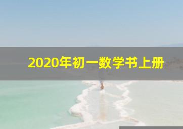 2020年初一数学书上册