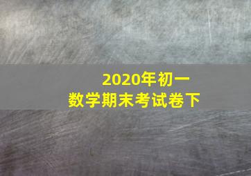 2020年初一数学期末考试卷下