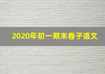 2020年初一期末卷子语文