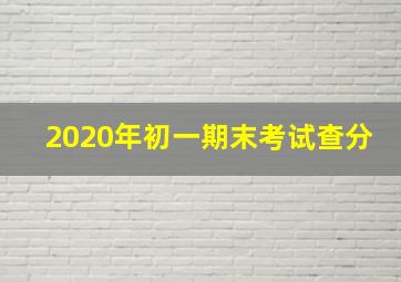 2020年初一期末考试查分