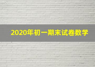 2020年初一期末试卷数学