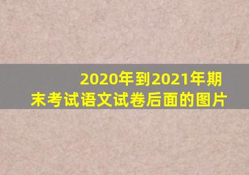 2020年到2021年期末考试语文试卷后面的图片