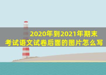 2020年到2021年期末考试语文试卷后面的图片怎么写