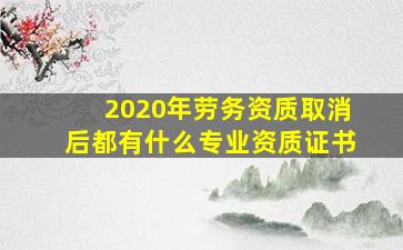 2020年劳务资质取消后都有什么专业资质证书