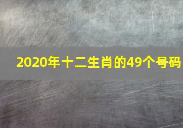 2020年十二生肖的49个号码