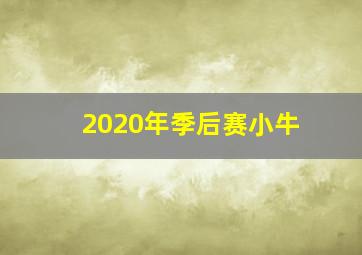 2020年季后赛小牛