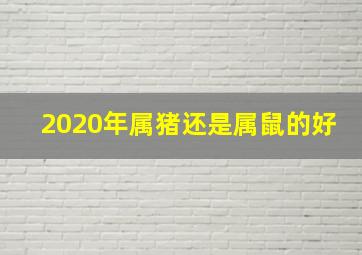 2020年属猪还是属鼠的好