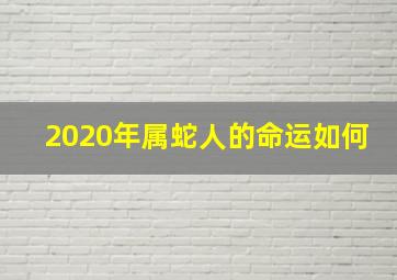 2020年属蛇人的命运如何