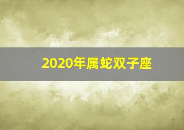 2020年属蛇双子座