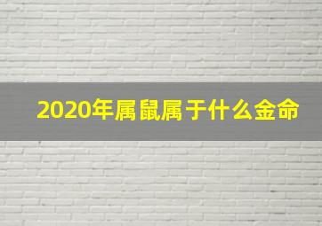 2020年属鼠属于什么金命