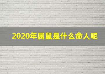 2020年属鼠是什么命人呢