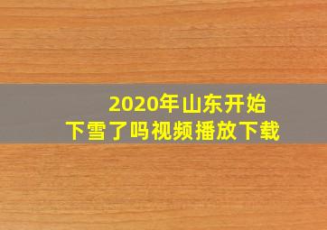 2020年山东开始下雪了吗视频播放下载