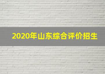 2020年山东综合评价招生