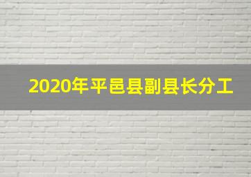 2020年平邑县副县长分工