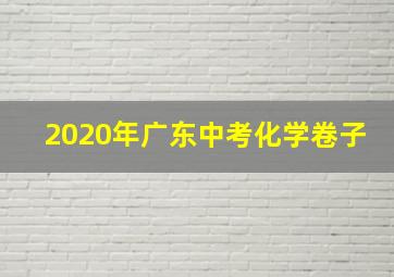 2020年广东中考化学卷子