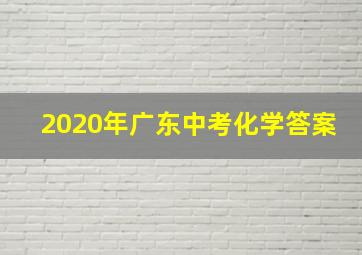 2020年广东中考化学答案