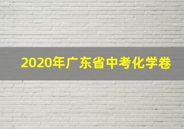 2020年广东省中考化学卷