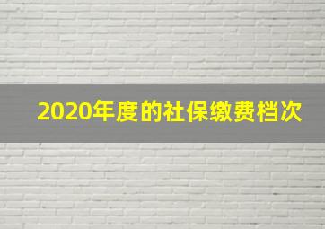 2020年度的社保缴费档次