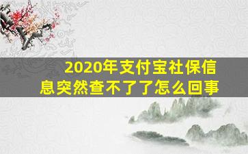 2020年支付宝社保信息突然查不了了怎么回事