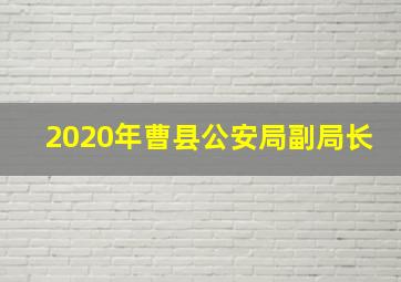 2020年曹县公安局副局长