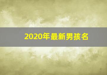 2020年最新男孩名