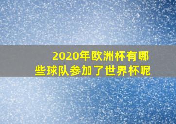 2020年欧洲杯有哪些球队参加了世界杯呢