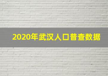 2020年武汉人口普查数据