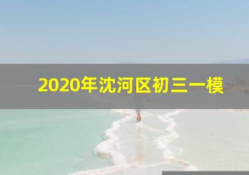 2020年沈河区初三一模