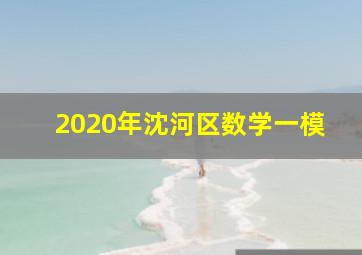 2020年沈河区数学一模