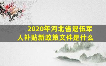 2020年河北省退伍军人补贴新政策文件是什么