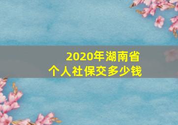 2020年湖南省个人社保交多少钱